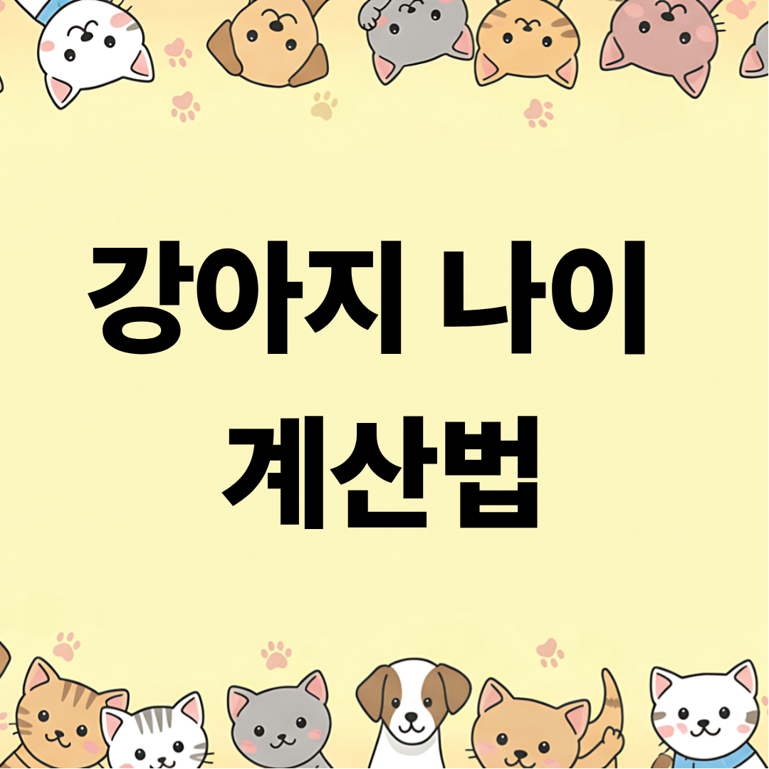 강아지 나이 계산법