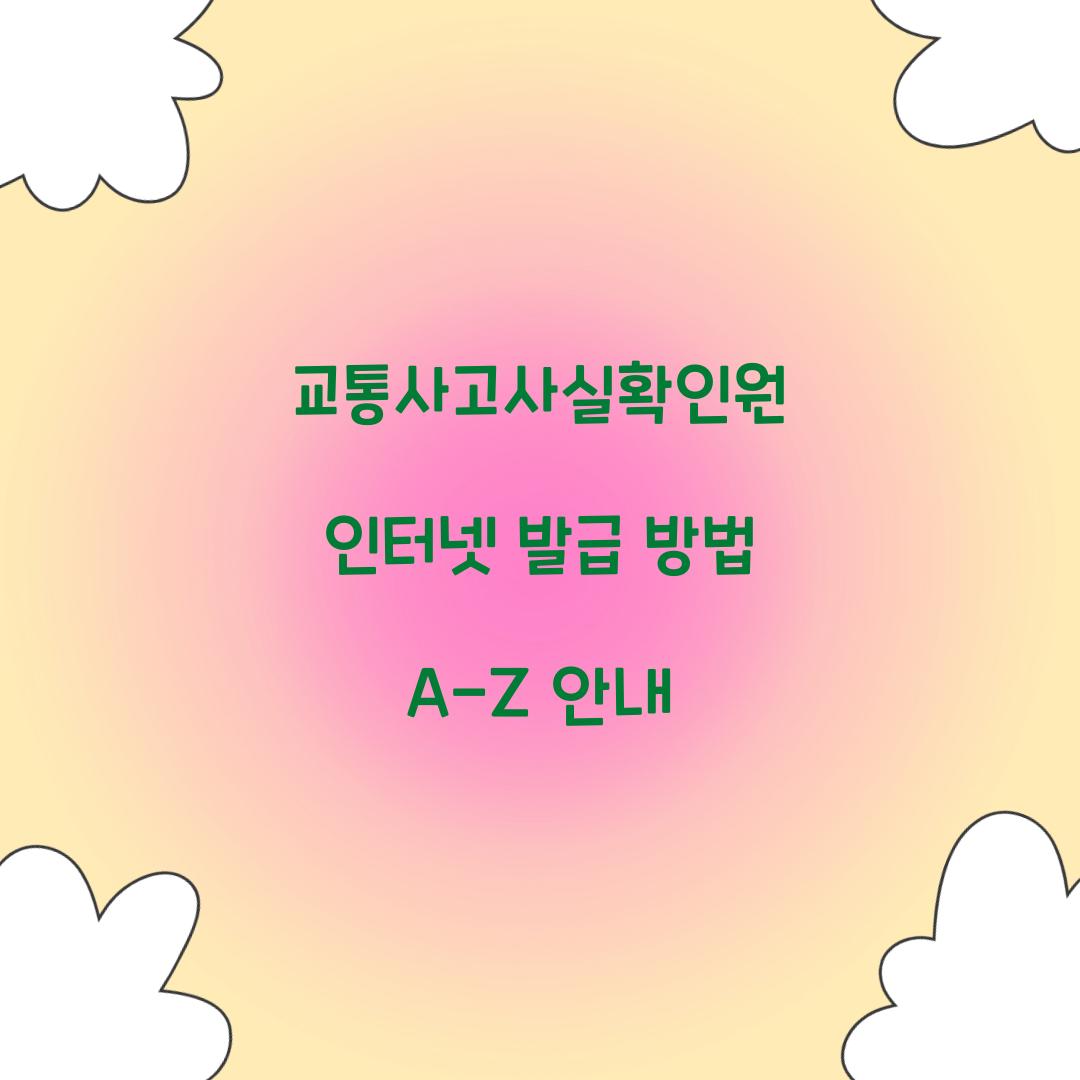 교통사고사실확인원 인터넷 발급