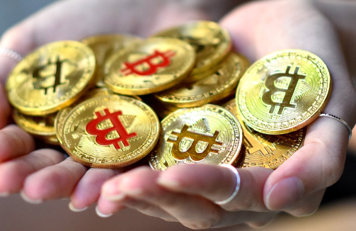 솔라나, 리플, 카르다노