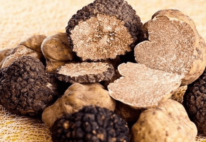 다량의송로버섯