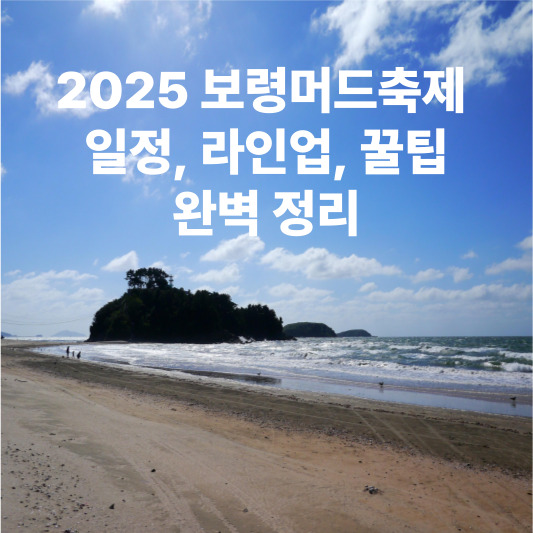 2025 보령머드축제 : 일정&amp;#44; 라인업&amp;#44; 꿀팁&amp;#44; 완벽 정리