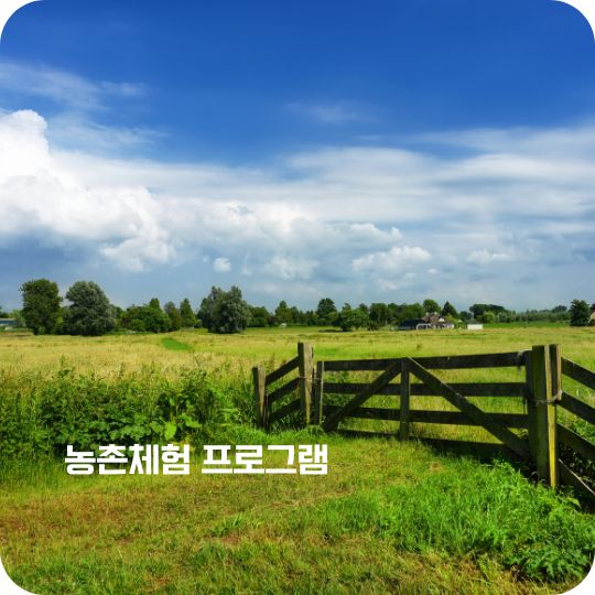 농촌체험 프로그램 선착순 예약하기