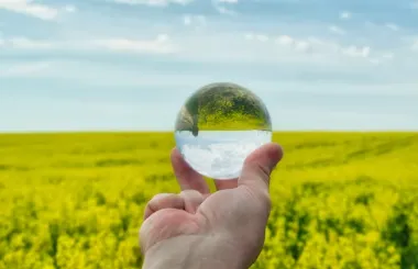 카놀라유 부작용을 줄이는 방법 5가지