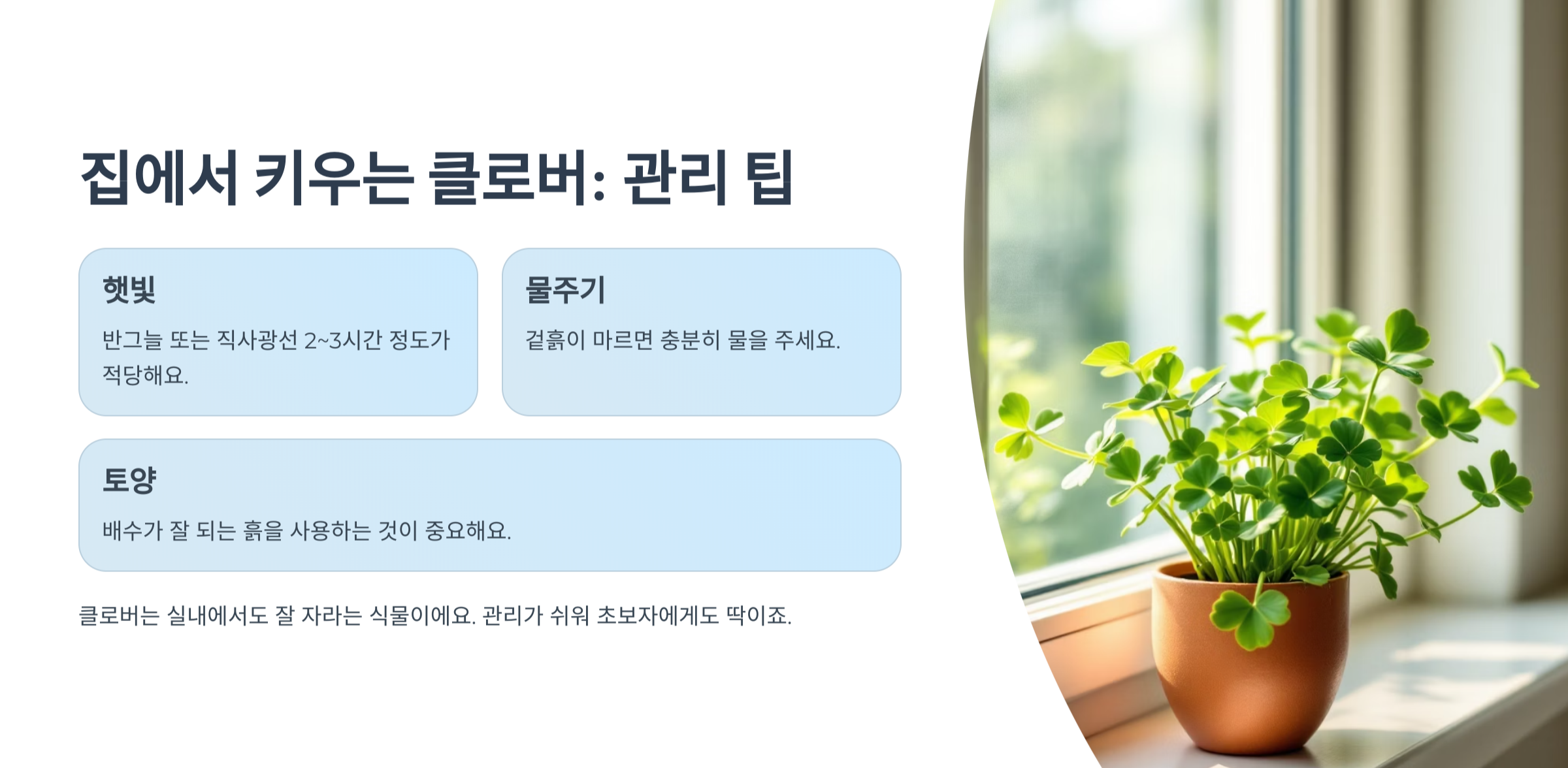 네잎클로버