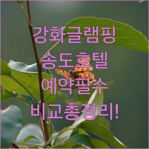 강화도 글램핑과 송도 호텔 예약 전 ..