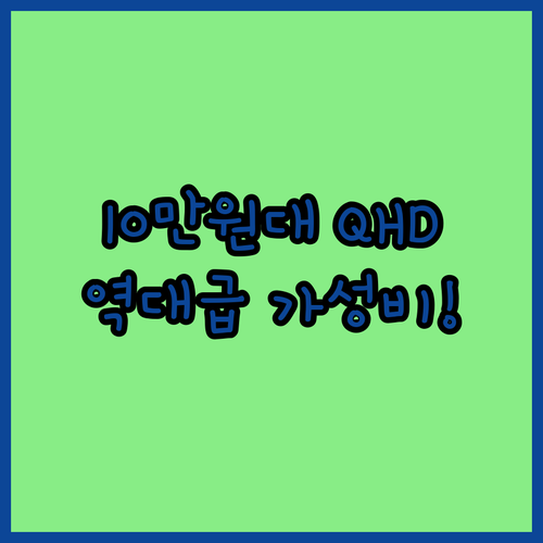 10만 원대 가격에 QHD와 100H..