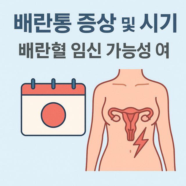 배란통 증상과 시기, 배란혈과 임신 가능성 여부를 설명하는 대표 이미지로 여성 건강과 생리 주기를 상징하는 아이콘이 포함된 디자인