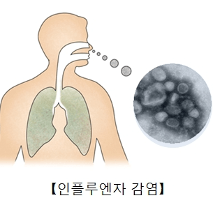 인플루엔자-무료 예방접종-시기-예약-가격-65세이상-어린이-임산부
