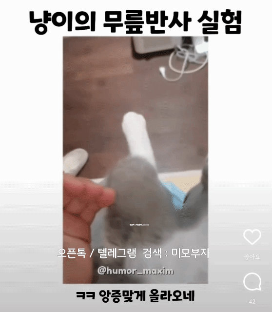 12월 7일 목 신문스크랩