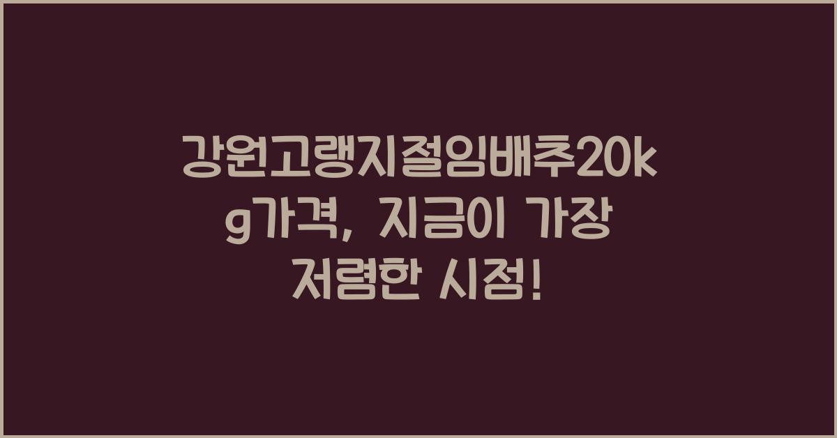 강원고랭지절임배추20kg가격