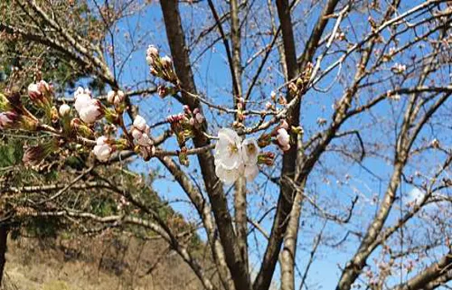 청풍호반케이블카 물태리역