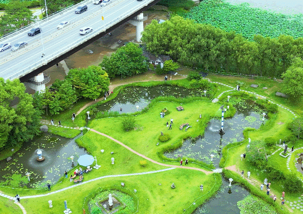 세미원 연꽃 축제