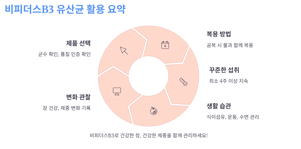 비피더스B3 최종 점검!