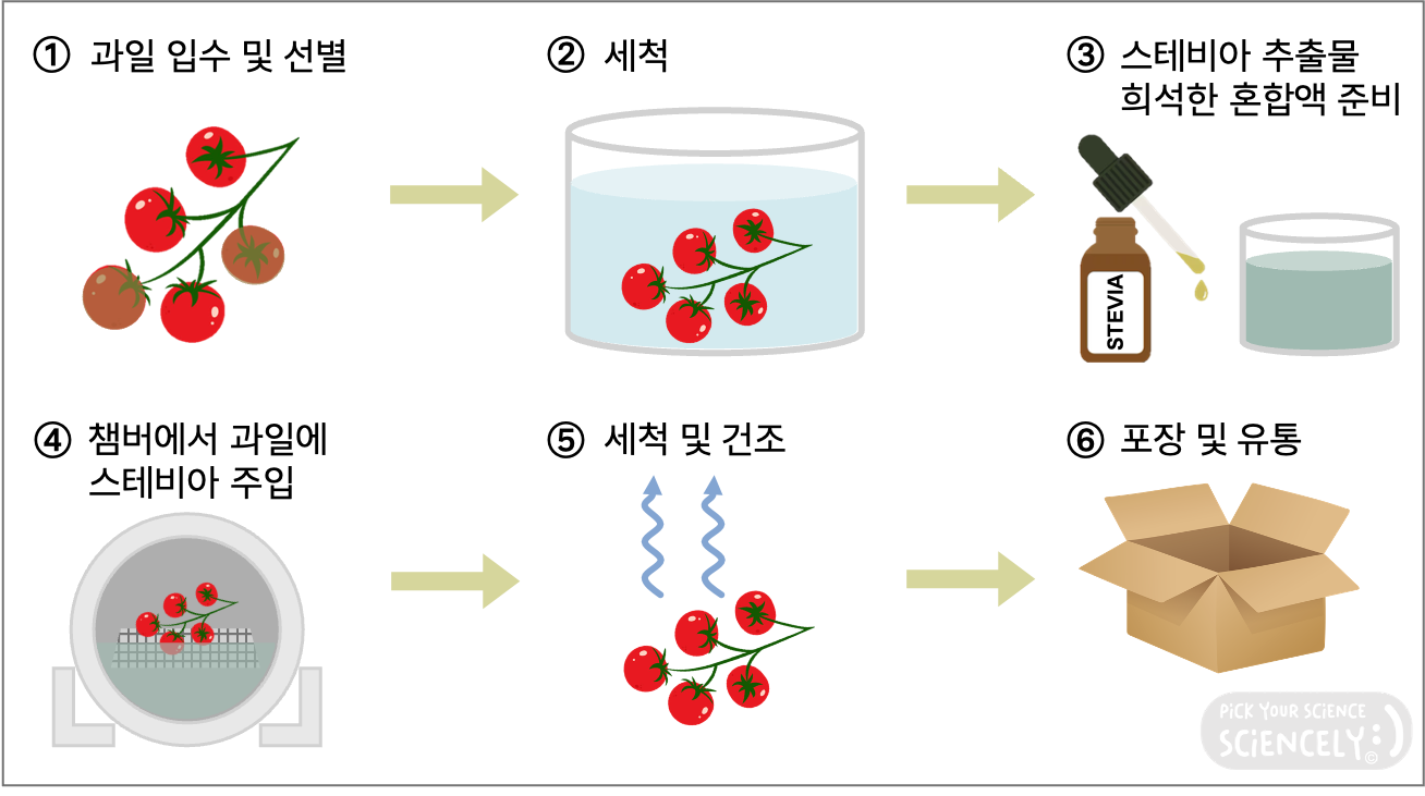 스테비아 토바토, 스테비아 공법 진공챔버로 스테비아 추출물 주입, 만드는법, 생산과정