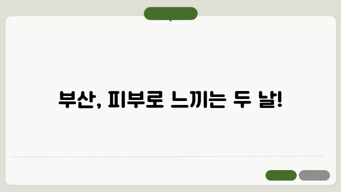 부산 1박 2일 여행, 특별한 일정 짜기