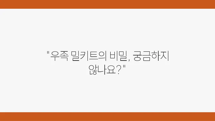 우족 밀키트 구성 세트