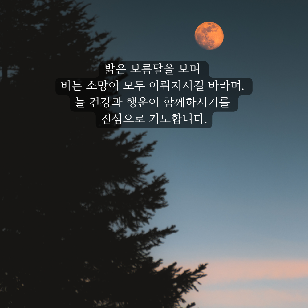 추석 인사말 한가위 인사 이미지 문구 모음집 안부