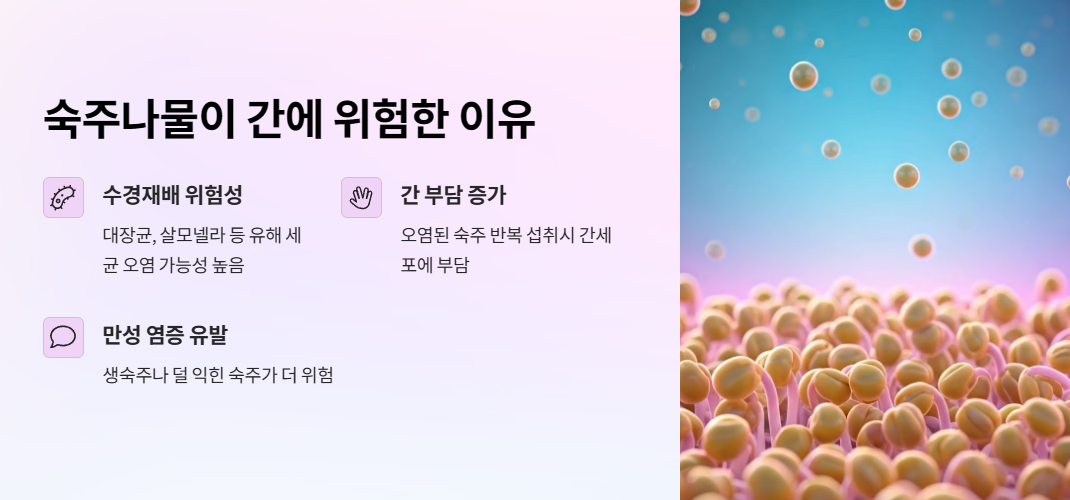 숙주나물이 간에 위험한 이유