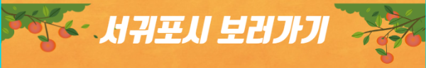 봄에 떠나기 좋은 여행지
