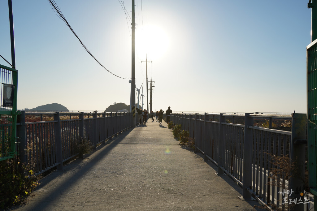 안산 탄도항 가는길