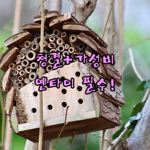 옌타이 여행 숙소 최적화 가성비와 청..