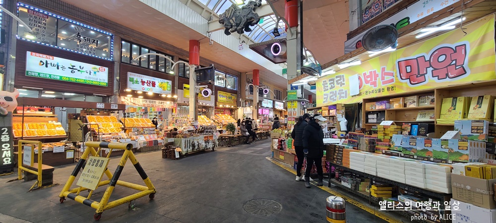 제주 노블피아호텔 주변 서귀포 가볼만한곳 BEST 10