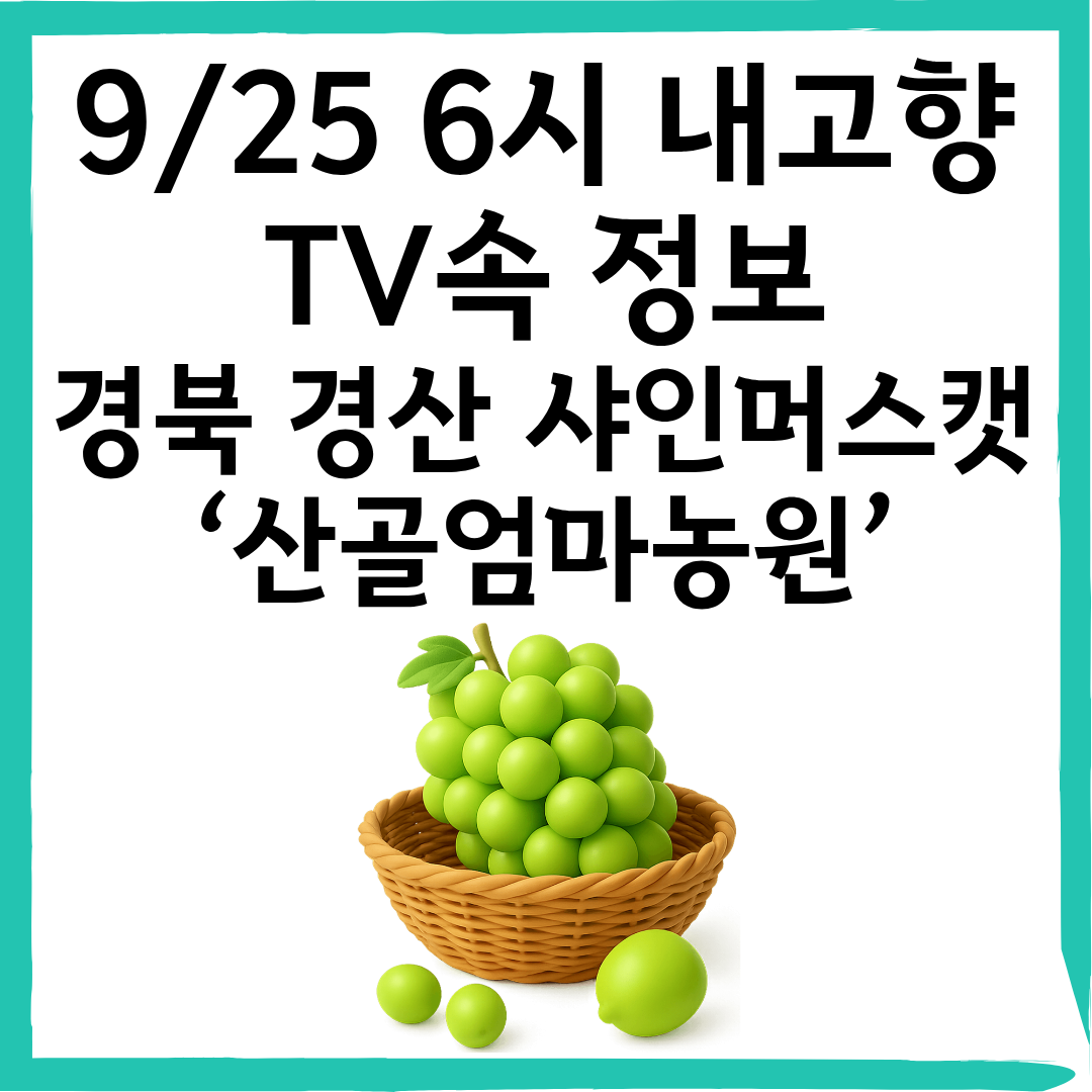 9월 25일 KBS 6시 내고향｜경북 경산 샤인머스캣 &lsquo;산골엄마농원&rsquo;