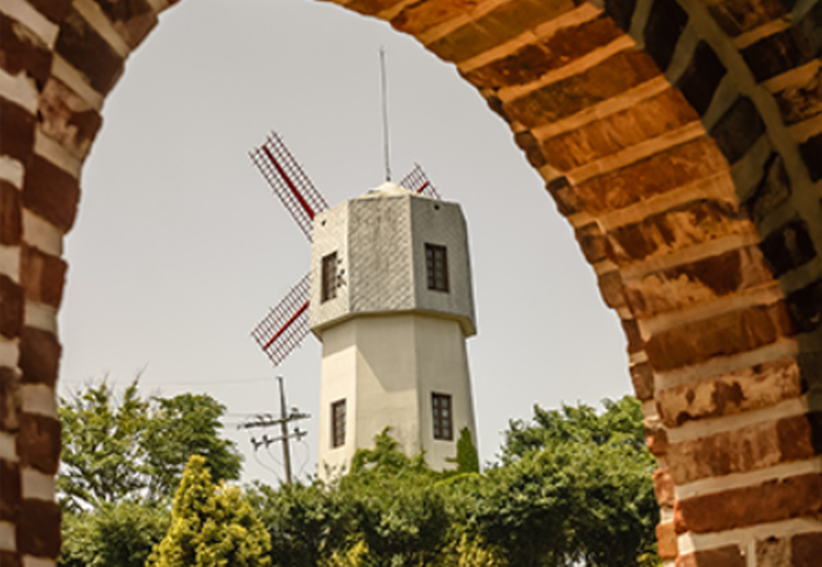 팜카밀레 허브농원