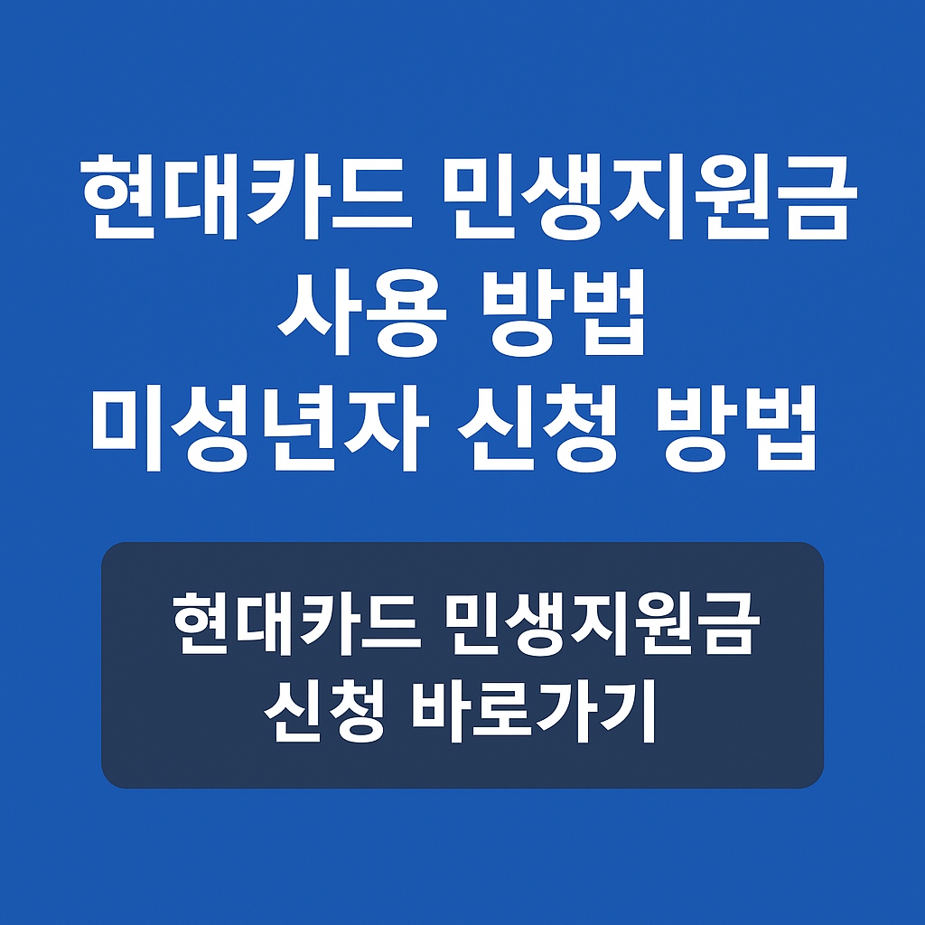 현대카드-민생지원금-사용-방법