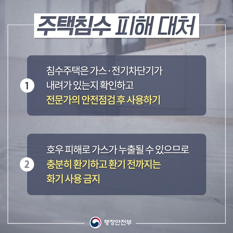 대처2