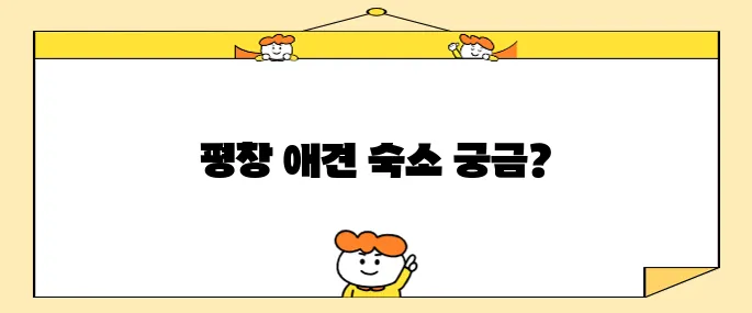 강원도 평창에서 더화이트 호텔과 휘닉스파크 인근 애견 동반 숙소를 추천합니다 여러분의 소중한 반려견과 함께 특별한 시간을 보내세요
