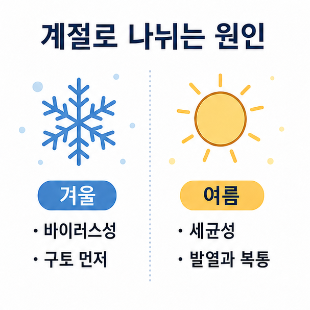 장염의 계절별 원인 비교, 겨울철 바이러스성과 여름철 세균성의 증상 차이를 나눈 도표