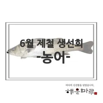 6월 제철회 종류별 신선한 해산물의 맛있는 향연_9