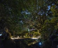 화담숲 반딧불이