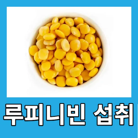 당뇨관리 루피니빈 섭취 방법 루피니빈 효능 당뇨콩 부작용