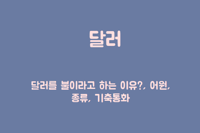 달러제목이 담긴 배너