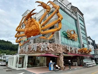 영덕 가볼만한곳 베스트10 바다 근처 인기 여행지 정리_10