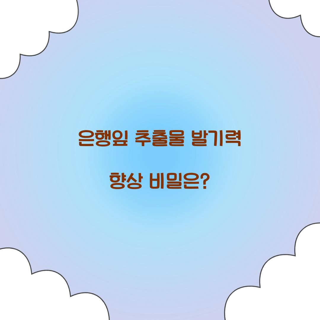 은행잎 추출물 발기력