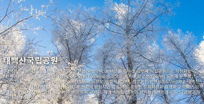 태백산국립공원 여행