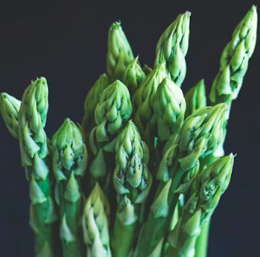 비타민E가 많은 음식