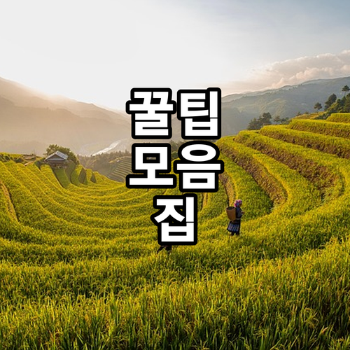 강남구 2025 스마트 홈 지원 중증..