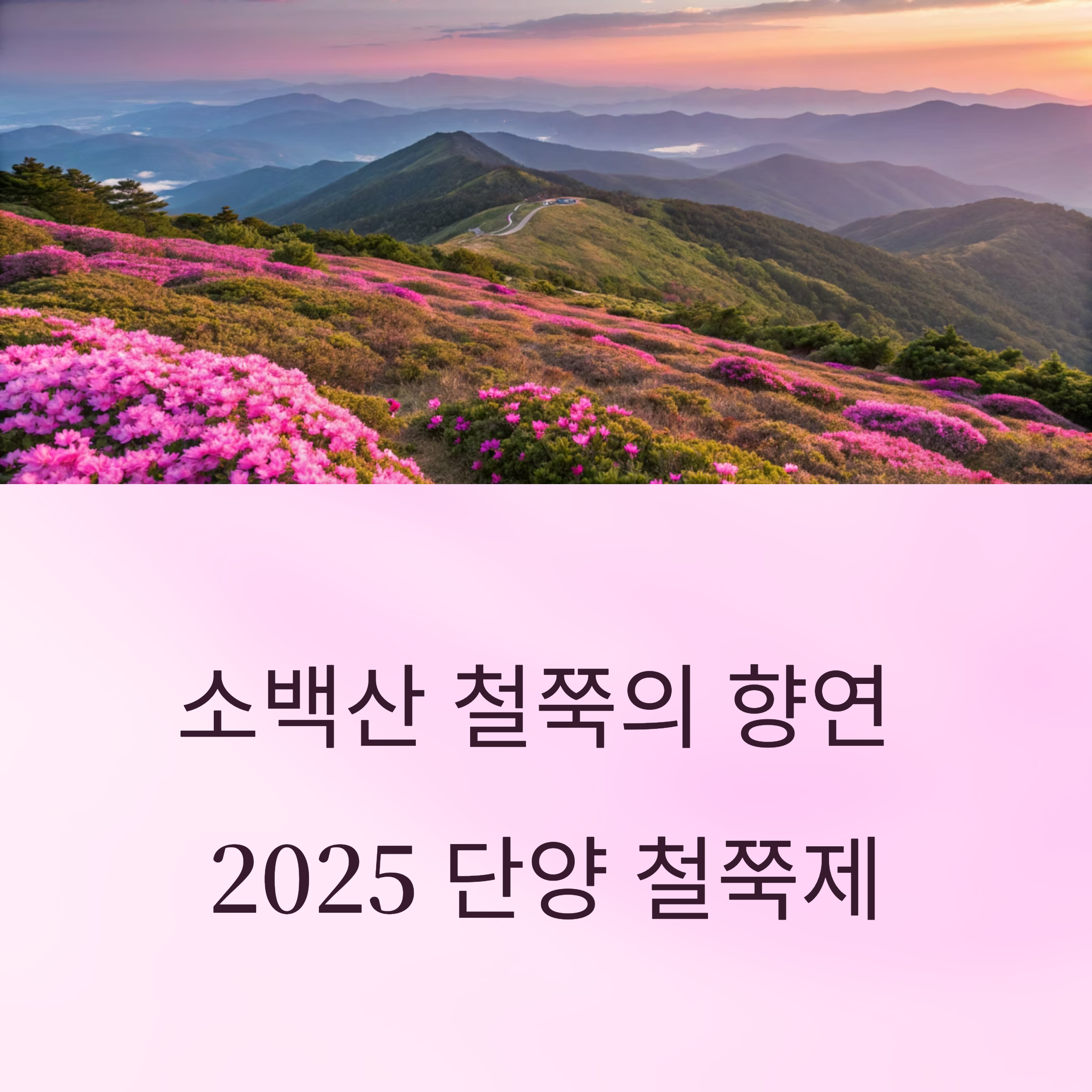 텍스트이미지