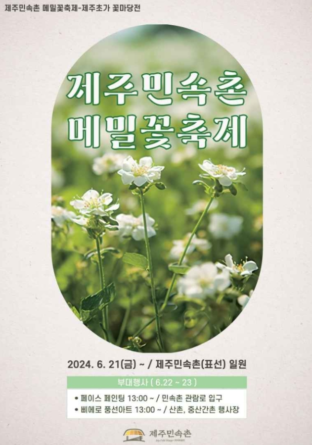 제주 메밀꽃 축제 2024 요금 행사