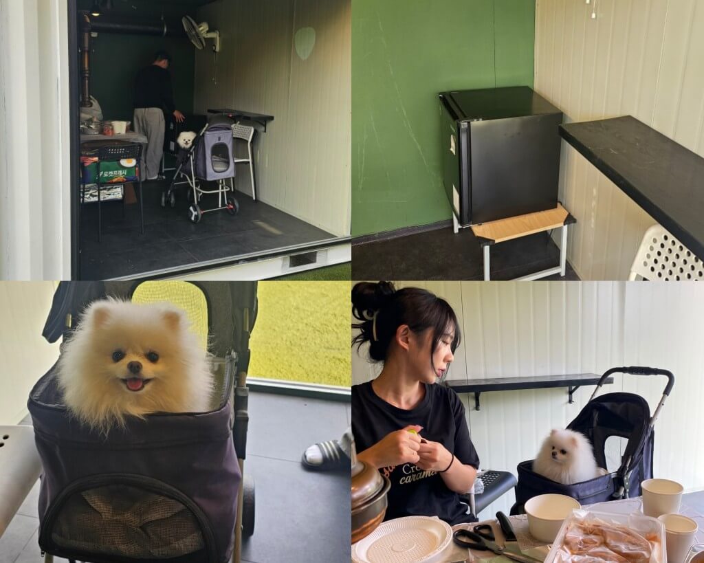 반려동물-동반-가평-펜션