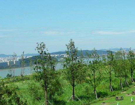 노을캠핑장-1