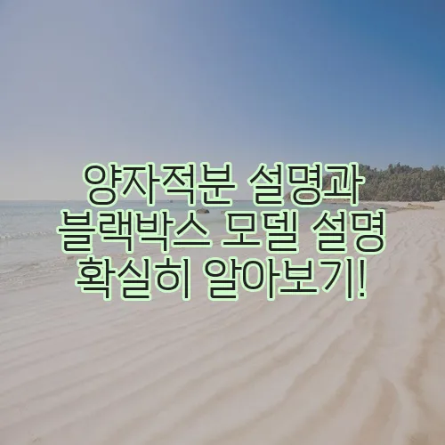 양자적분 설명과 블랙박스 모델 설명 확실히 알아보기!