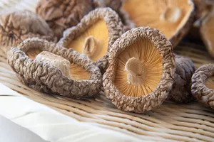 대장암에-좋은-음식