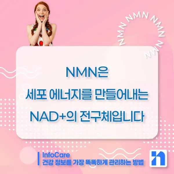 NMN 효능 효과 복용법