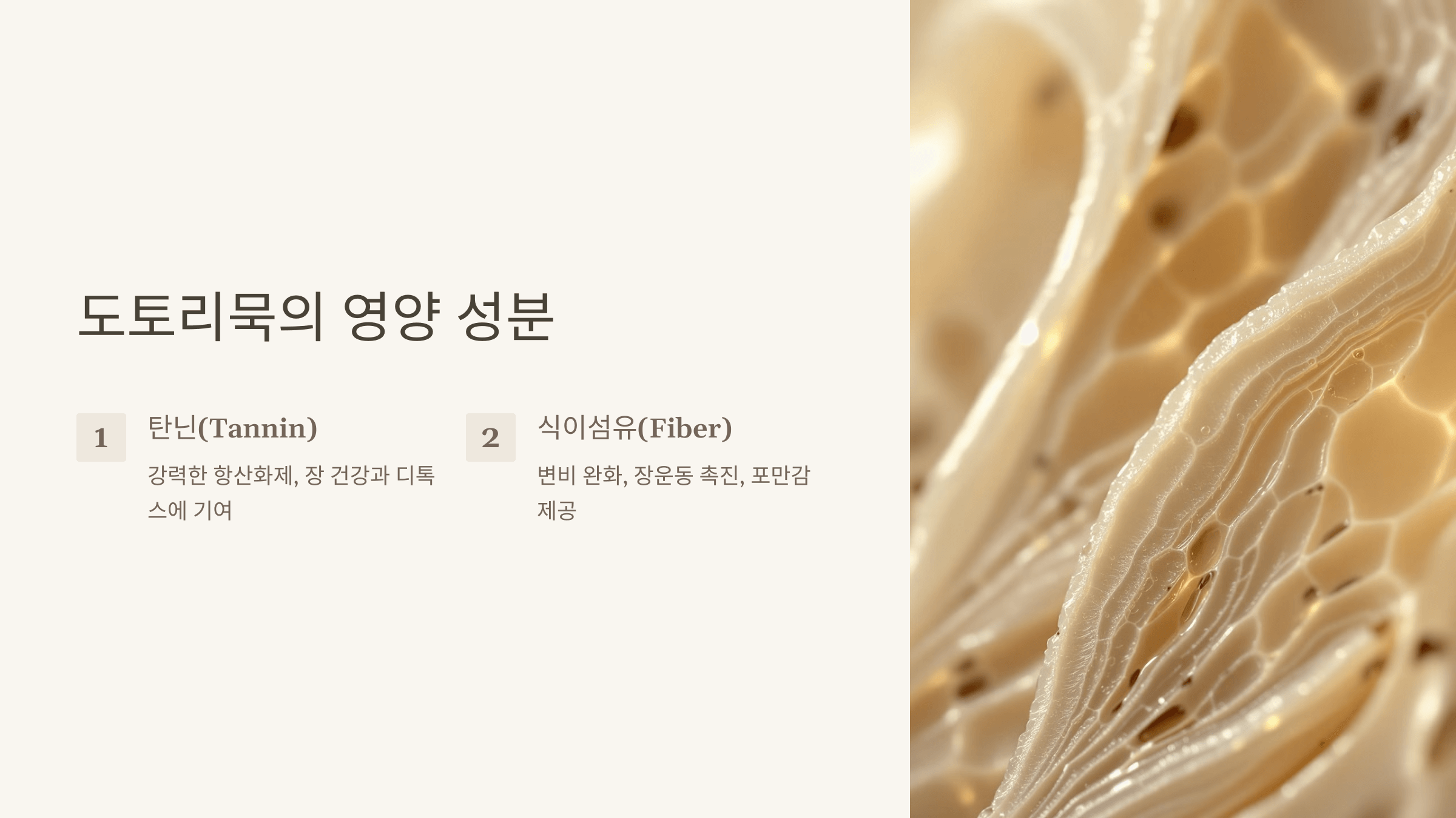 도토리묵과 관련된 사진입니다.