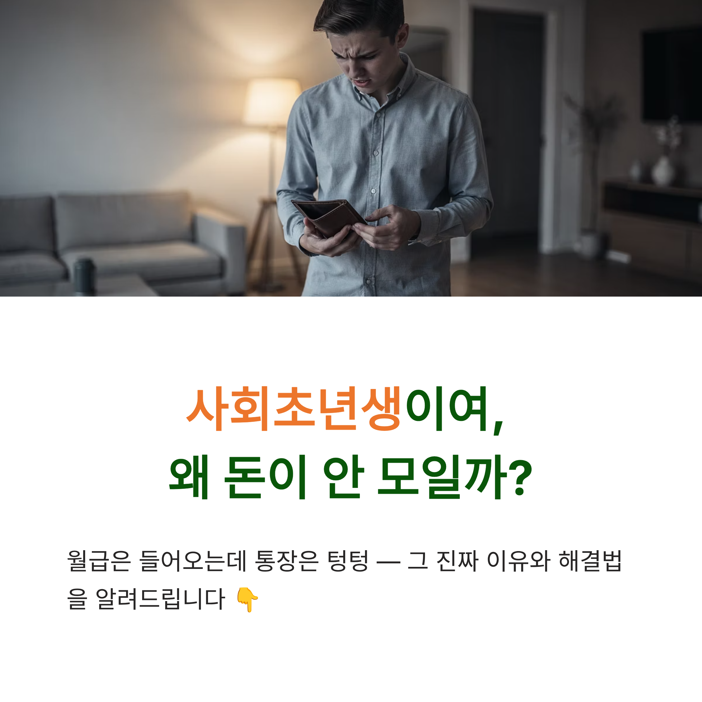 사회초년생